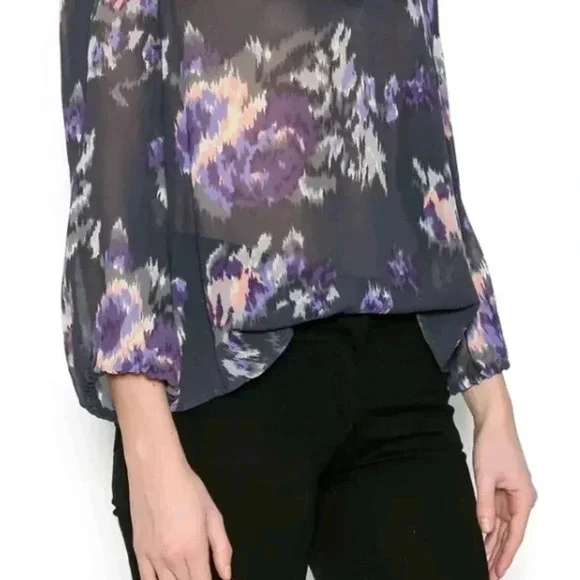 Joie Axcel 100% Silk Printed Floral Sheer Blouse Top 3/4 Sleeve Smocking Sz XS - Picture 3 of 8
